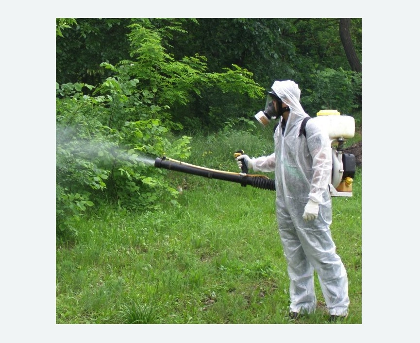 обработка территории от клещей в Прокопьевске