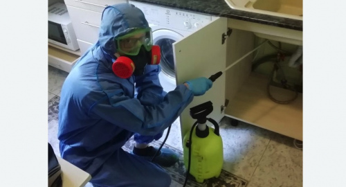 Уничтожение муравьев в квартире. Прокопьевск
