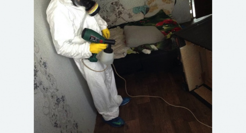 Обработка квартир от насекомых в Прокопьевске