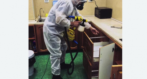 Дезинсекция квартиры. Прокопьевск
