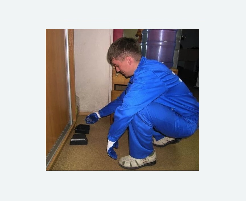 Дератизация крыс в Прокопьевске