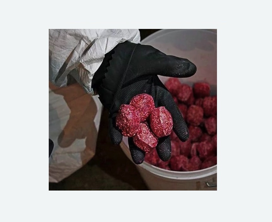 Обработка от крыс в Прокопьевске