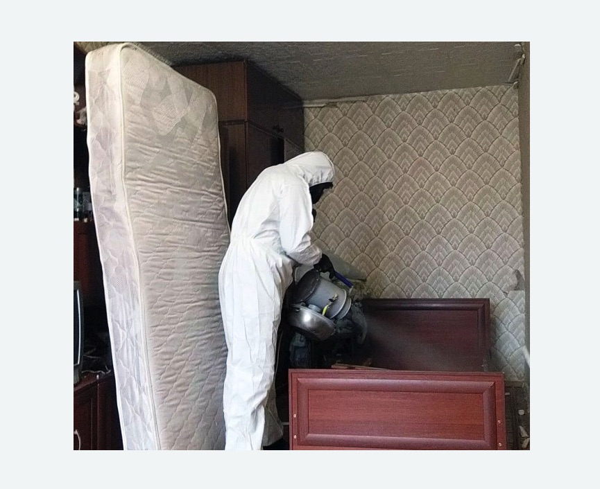 дезинфекция от клопов в Прокопьевске