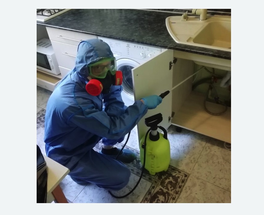 обработка от муравьев в квартире в Прокопьевске