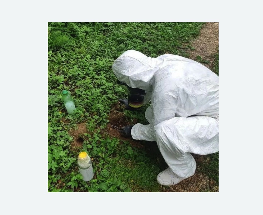 уничтожение кротов на участке в Прокопьевске