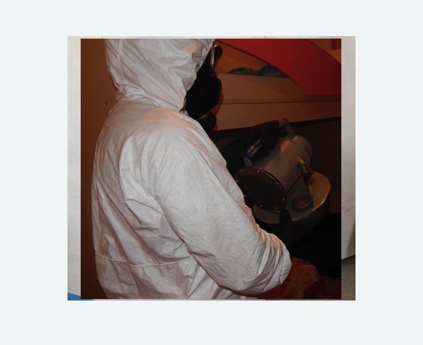 Дезинфекция от муравьев в Прокопьевске