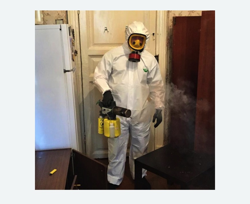 уничтожение муравьев в квартире в Прокопьевске